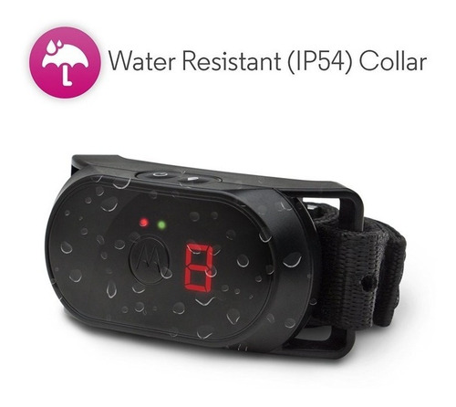 Imagen 2 de 4 de Collar Antiladrido Mascota Bark 100 Entrenamiento Motorola