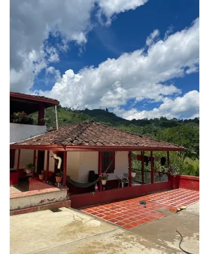 Finca Cafetera En Venta En Andes - Antioquia