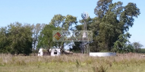 Imagen 5 de 20 de Apto Ganaderia Y Tambo Con Renta