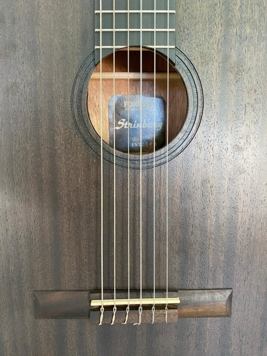 Violão Strinberg Forest Fs3c Tos Ny Clássico Clássico