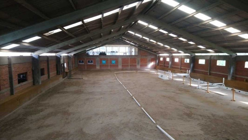 Imagen 5 de 14 de Club Hípico, ¡excelente Oportunidad De Inversión!