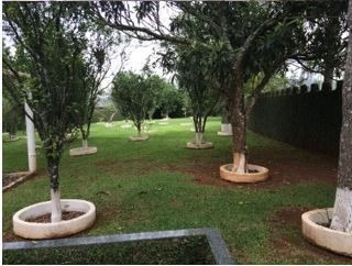 Terreno - Ref: 7550