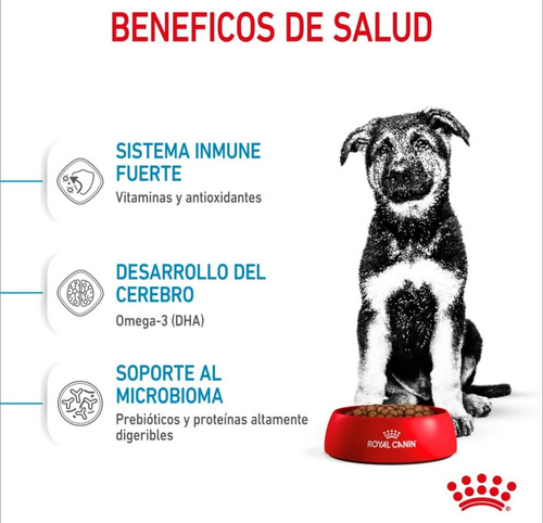 Royal Canin Alimento Seco Para Cachorro Raza Grande 13.6kg