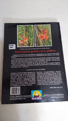 Gladiola (Usado)