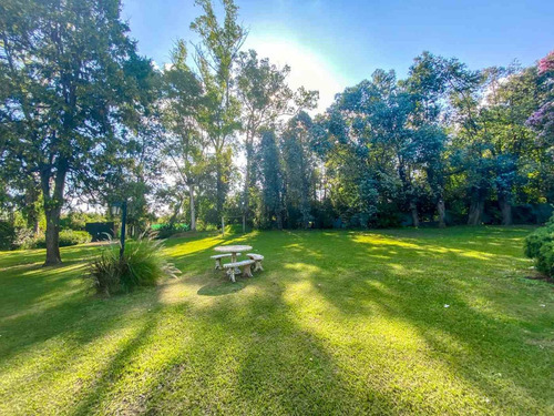 Venta Lote Terreno 4312 Metros Pilar Pileta