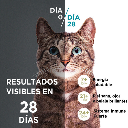 Imagen 2 de 7 de Alimento Seco Para Gato Purina® One® Gatito Pollo Y Carne 6k
