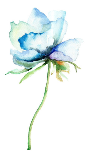 Cuadro 30x45cm Flores Watercolor Acuarela Flower Hermoso M6