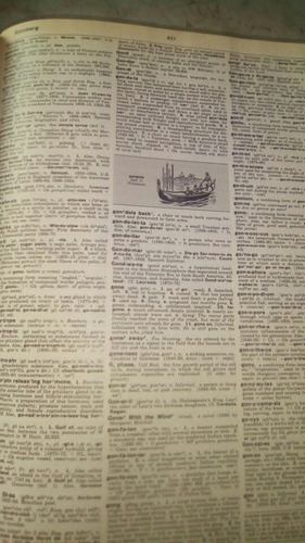Webster's Enciclopedic Unabridged Dictionary Of The English (Usado)