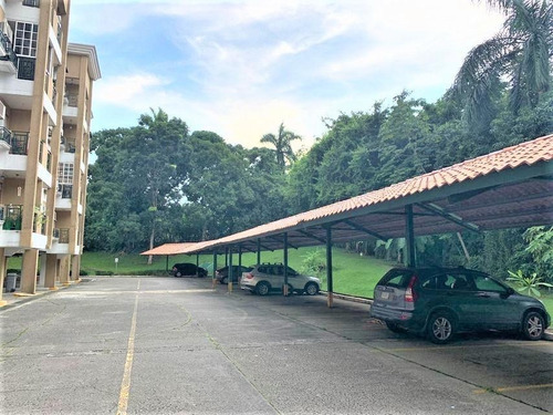 Imagen 13 de 14 de Alquiler De Apartamento Amoblado En Ph Albrook Park 21-4713