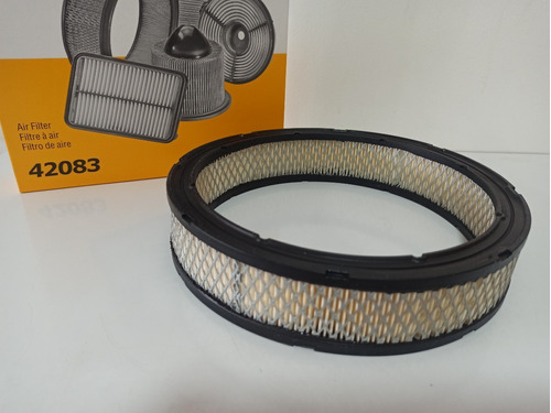 Filtro De Aire Chevrolet Malibu / Caprice M250 (7)