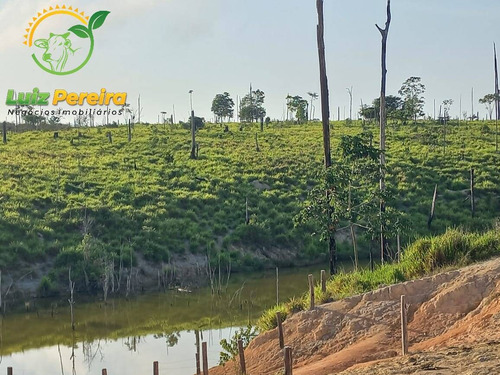 Imagem 4 de 15 de Fazenda À Venda Em Pacajá - Pa - 968 Hectares (pecuária) - 1996