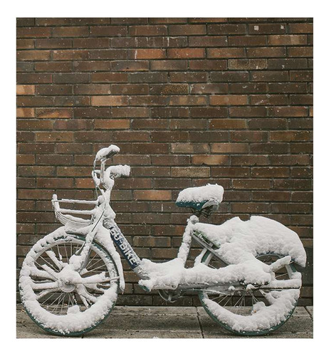 Vinilo 45x45cm Bicicleta Transporte Invierno Winter Ice P1