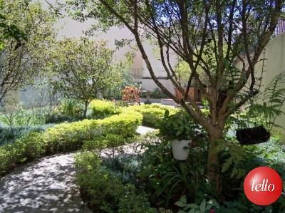 Apartamento - Ref: 74886
