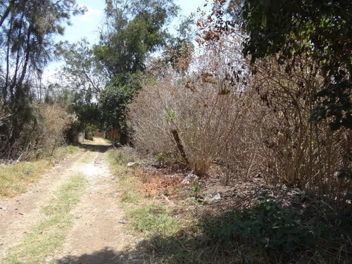 Imagen 1 de 5 de Terreno En Venta En Pátzcuaro En La Colonia Revolución