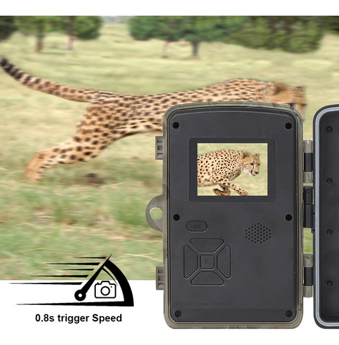 Sensor De Cámara Con Detector De Movimiento Para Animales Al