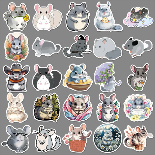50 Chinchillas -1246 - 50 Pegatinas Totoro Sudamericanas