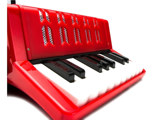 Genial Acordeon Profesional Con 17 Teclas Y 8 Botones Woow