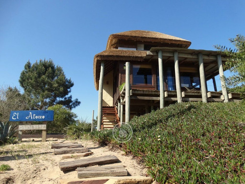 El Atorro En Punta Del Diablo