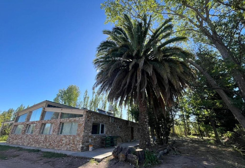 Finca En Venta. Mendoza, Con Casa Y 4 Duplex.