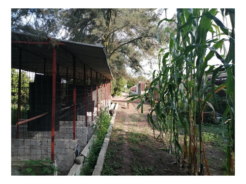 Imagen 14 de 30 de Terreno En Venta Cerca Del Aeropuerto
