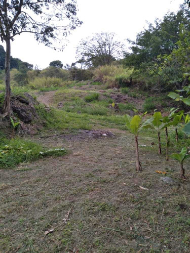 Imagen 5 de 11 de Km// Granja Con Galpón En Peribeca Sector El Ceibal