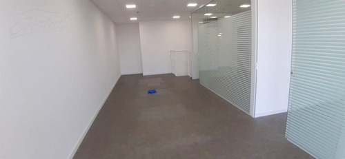Imagem 2 de 19 de Comercial Para Aluguel, 0 Dormitórios, Vila Cordeiro - São Paulo - 22478