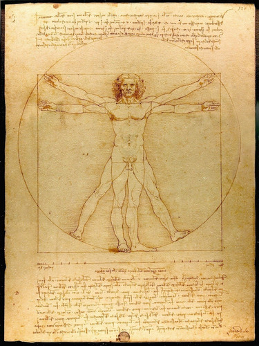 Poster Homem Vitruviano 40x50cm Leonardo Da Vinci