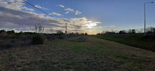 Imagen 7 de 13 de Se Vende Fracción De Campo Ruta 102 Y Melilla