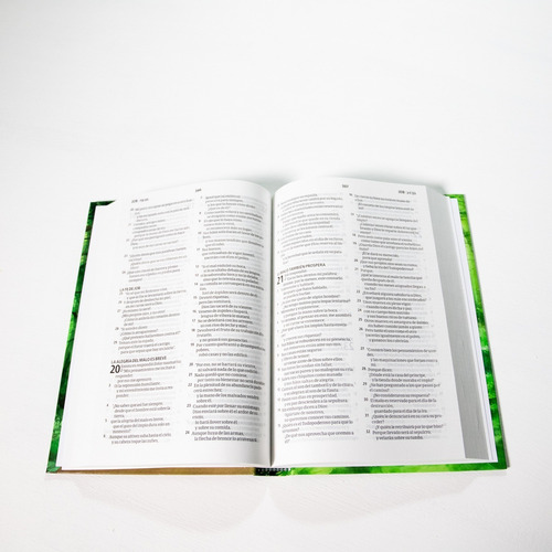 Imagen 4 de 9 de Biblia Nrv 2000 Act - Bosque