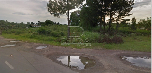 Imagem 14 de 15 de Terreno Comercial - Sangao - Ref: 30533 - V-30531