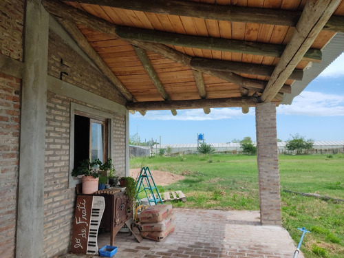 Imagen 11 de 24 de Casa En Lote De 1.5 Hectáreas, A Metros De La Ruta