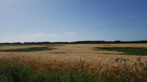 Imagen 10 de 10 de Campo En Venta Sobre Ruta Y Arroyo Navegable