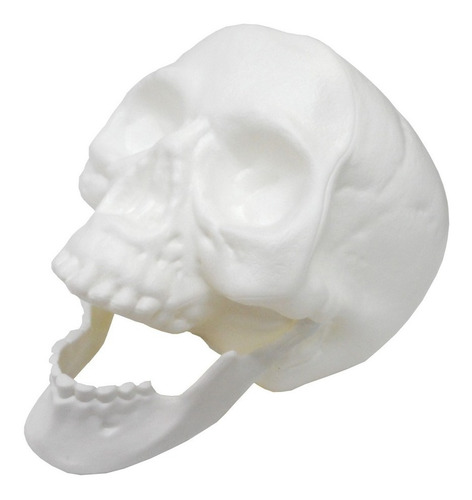 Imagem 3 de 4 de Cabeça De Esqueleto Caveira Crânio Com Mandíbula Halloween
