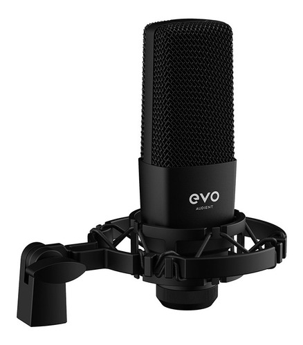 Micrófono Condenser Evo Sr1 (profesional Del Estudio)