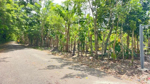 Vendo Terreno En Conuco-salcedo Provincia Hermanas Mirabal