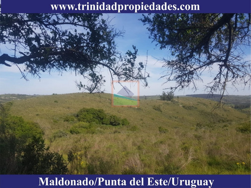 Imagen 10 de 10 de 86has Campo Turístico En Los Caracoles