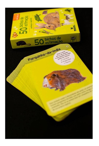 Jogo De Cartas Educativo 50 Bichos E Animais De Estimação 