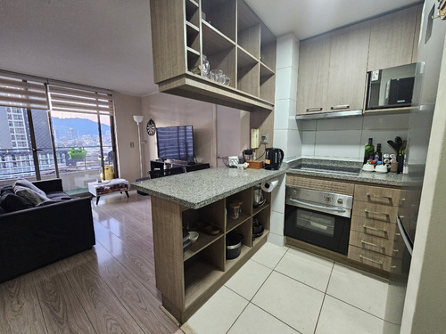 Arriendo Temporal Departamento Moderno Y Full Equipado
