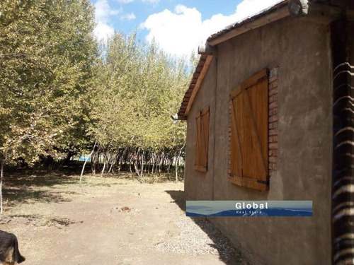Imagen 10 de 26 de Excelente Finca De 31 Has En San Rafael , Mendoza Zona Vitivinícola Argentina