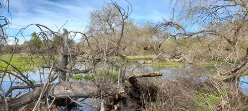 Campo Para Inversión En San Carlos