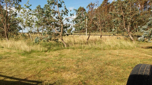 Inversión Asegurada En Las Garzas Rocha- Ref: 1097