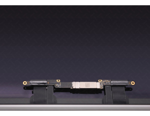 Pantalla Lcd Gris For Macbook Pro Retina A2159 Emc3301