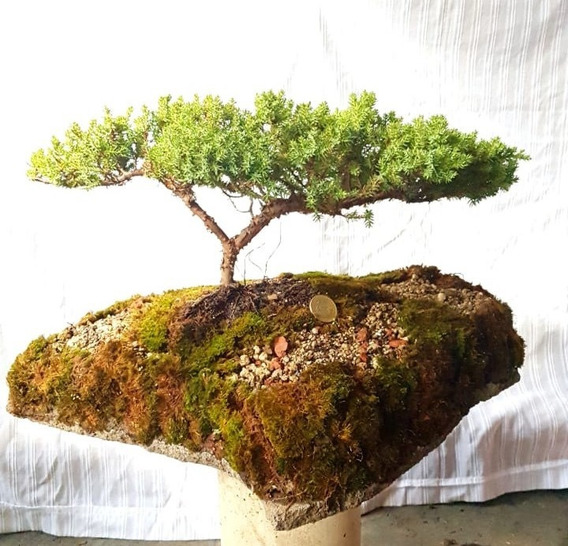 10x Resina Miniatura Decoraci/ón Pavimento De Piedra Gris Micro Paisaje Jard/ín De Bons/áis