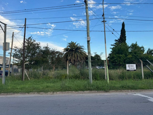Lote En Venta