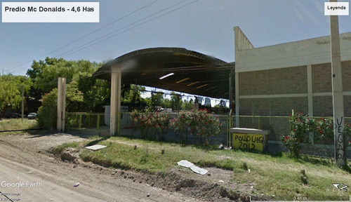 Imagen 9 de 12 de Alquilo Predio Sobre Ruta 22 - Galpon 2000 M2 - Cipoletti