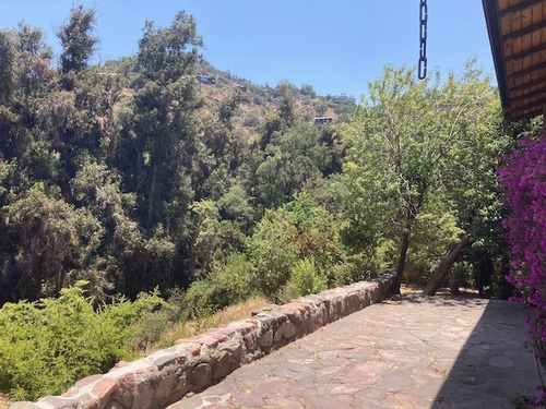 Camino El Cajón Con Las Acacias