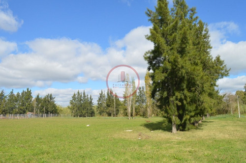 Imagen 7 de 10 de Terreno Lote En Venta Ubicado En Joaquín Gorina, La Plata