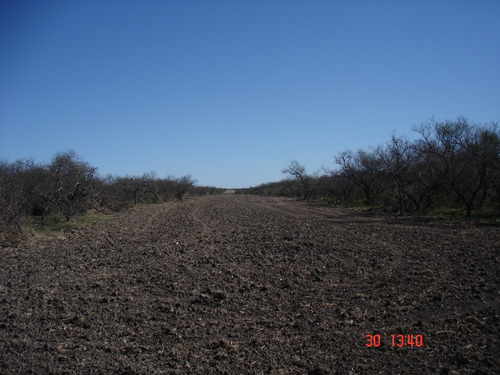 Imagen 9 de 12 de Campo Ganadero 42 Has E.rios Altamirano Sud Ideal Ganadería