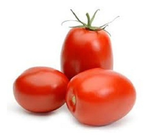 Tomate Rasteiro Rio Grande 3gr = 1.000 Sementes Aproximado