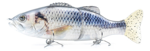 Cebo De Pesca For Truchas De 6.7 Pulgadas: 2 Segmentos Que